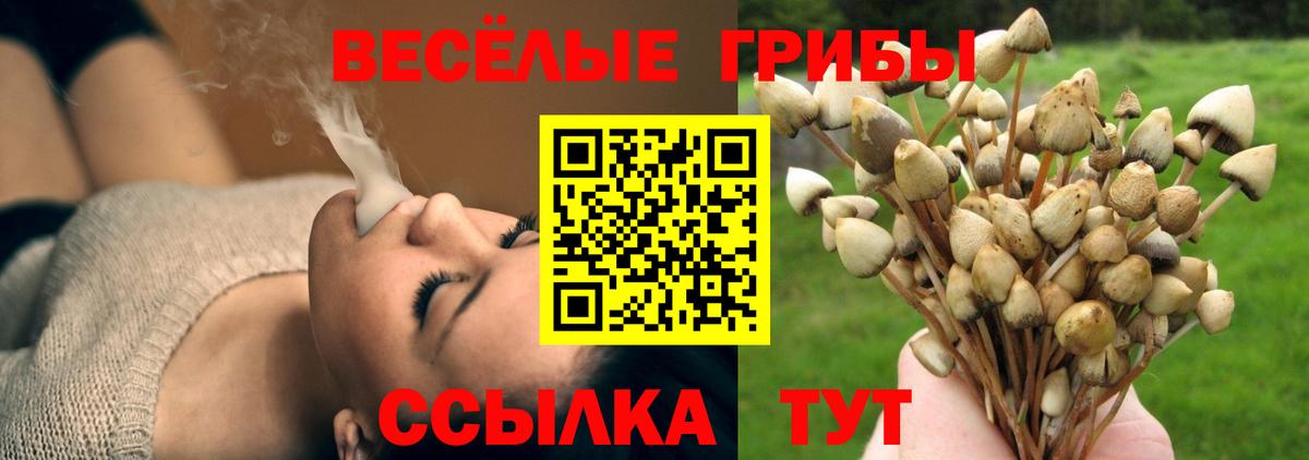 Галлюциногенные грибы GOLDEN TEACHER  Псилоцибиновые грибы мухоморы  Кириши  где найти наркотики  Вход с VPN 